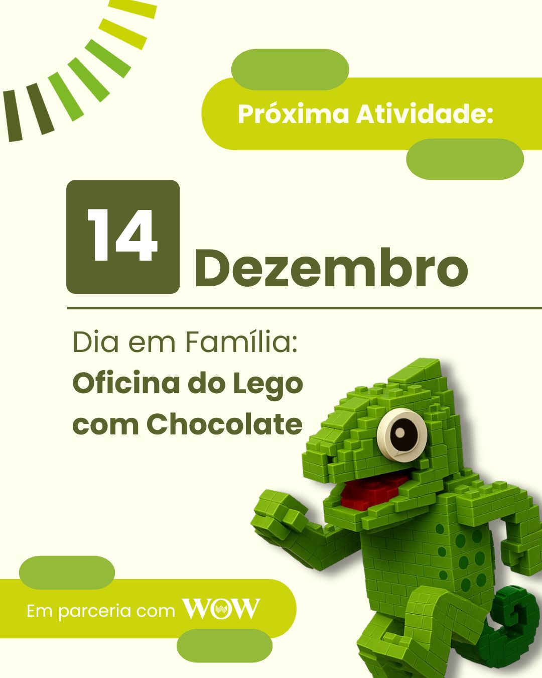 atividades campo ferias