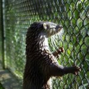 Parque Biológico de Gaia - Visitas de Grupo