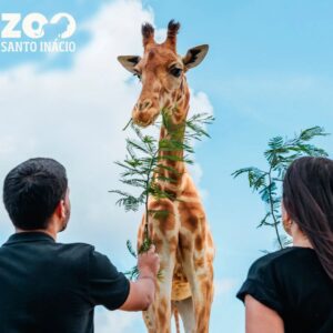 Zoo Santo Inácio